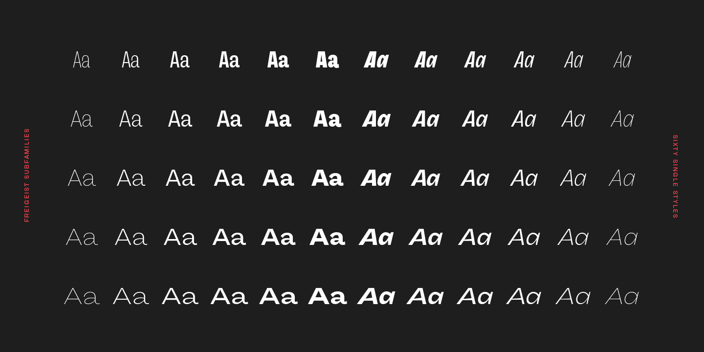 Freigeist XCon Thin Italic Font preview